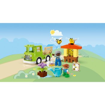 Ingrijirea albinelor si stupilor