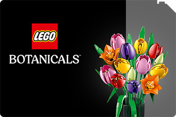 LEGO Colecția Botanică