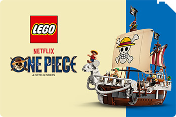 LEGO One Piece