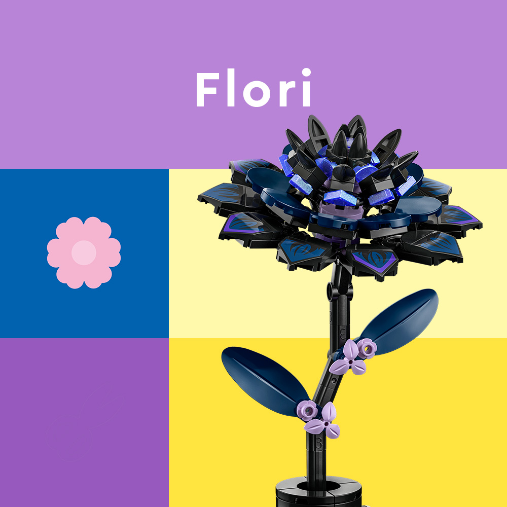 Flori Flori